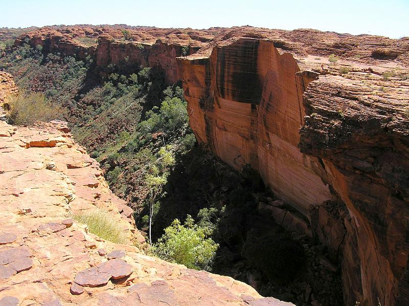 Kings Canyon.jpg - Es führen zwei Routen durch den Canyon. Ein ca 2 km langer Pfad führt durch Kings Cross am Boden der Schlucht und dauert durchschnittlich 1 Stunde. Am Ende des Wegs gelangt man zu einer Fläche mit Blick auf die steilen glatten Felswände.